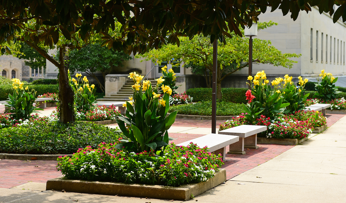 Flowers and greenery in a plaza on campus