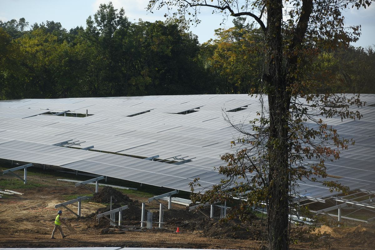 garden of solar panels